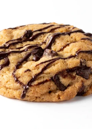 Old Reliable - chocolate chunk